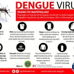 Philippine Red Cross Dengue Awareness Month
